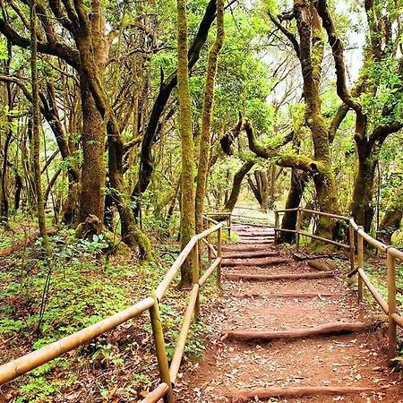 Casa Nature